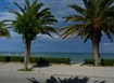Palmová riviéra - Martinsicuro 